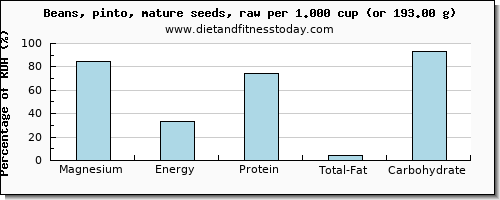 magnesium and nutritional content in pinto beans